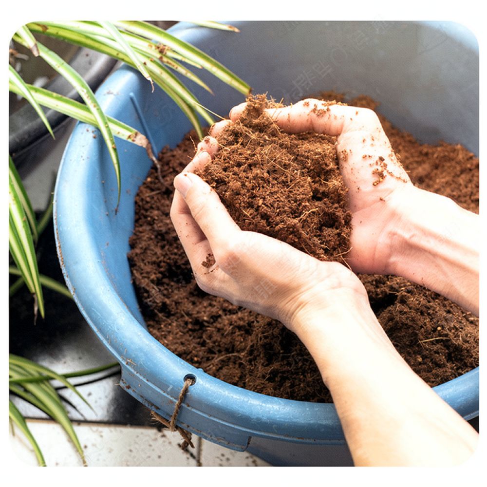 Bloque de sustrato de fibra de - Substrate Coconut Fiber reseña y precio